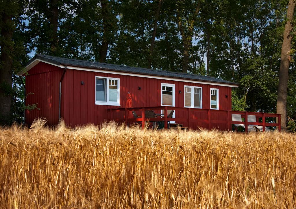 Erlebnishof Katthusen Apartamento Otterndorf Exterior foto